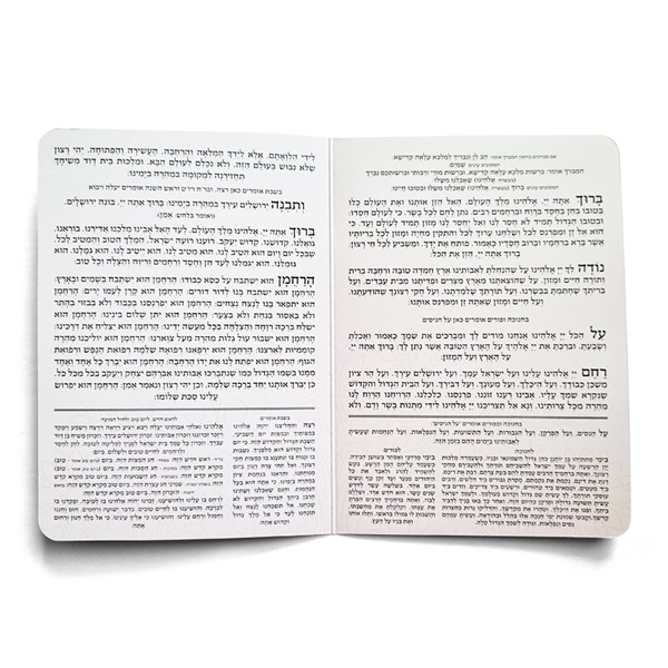 _¬___ץ___ץ_¬ _ק_ף___ץ_¬ 506